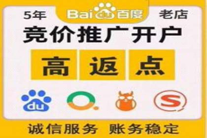 百度SEM推广实战：某品牌迅速崛起